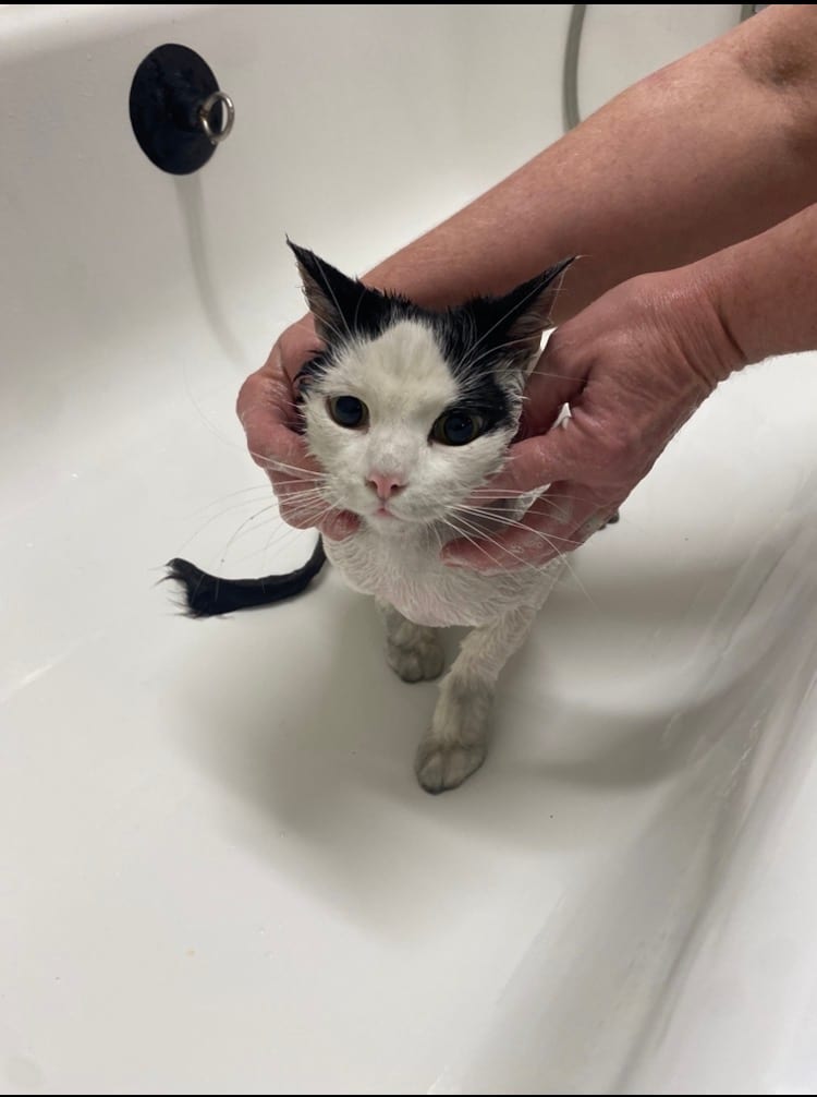 A patient after a bath